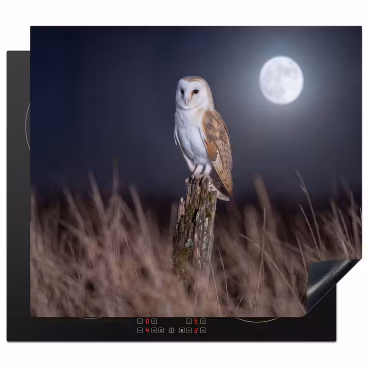 Induction hob cover - Barn owl - Moon - Night — 1