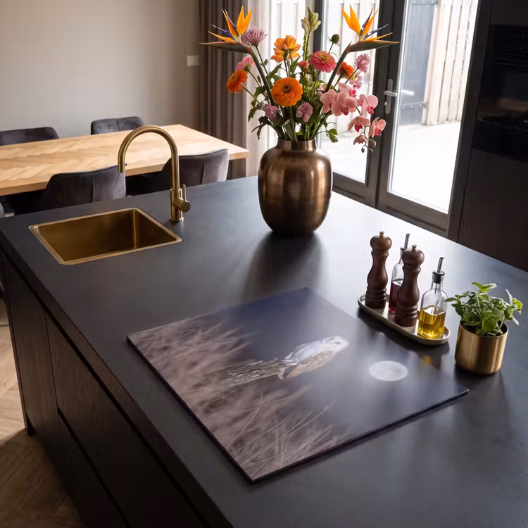 Induction hob cover - Barn owl - Moon - Night — 2