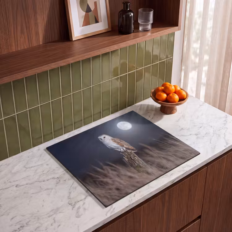 Induction hob cover - Barn owl - Moon - Night — 4
