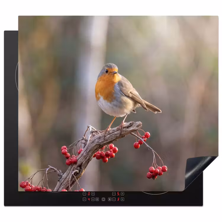 Induction hob cover - Robins - Branch - Berries - Nature — 1