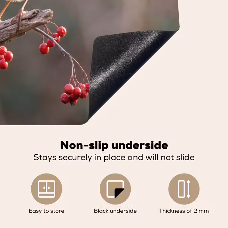 Induction hob cover - Robins - Branch - Berries - Nature — 5