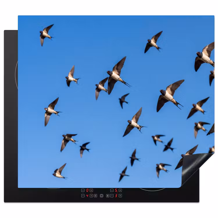 Induction hob cover - Swallows - Flies - Blue — 1