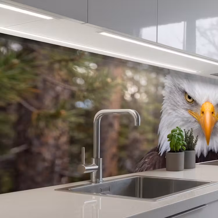 Kitchen splashback - American - Bald Eagle - Portrait - Yellow — 2