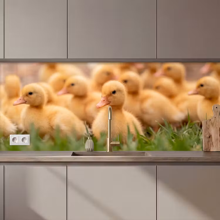Kitchen splashback - Arrow - Duck - Nature - Yellow — 1
