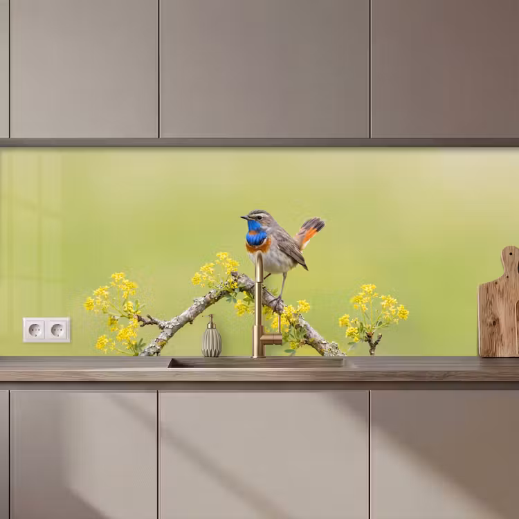 Kitchen splashback - Bird - Branch - Nature - Colorful — 1