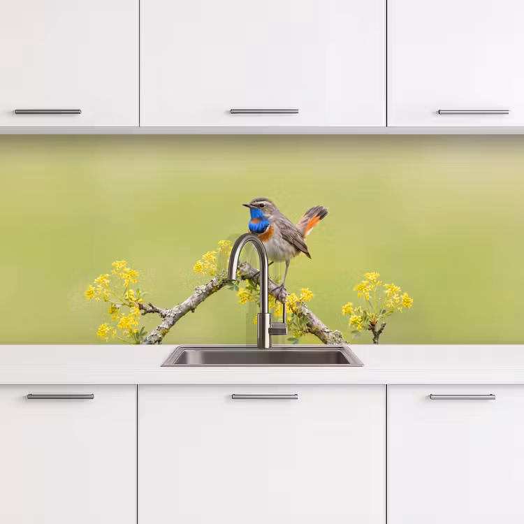 Kitchen splashback - Bird - Branch - Nature - Colorful — 4