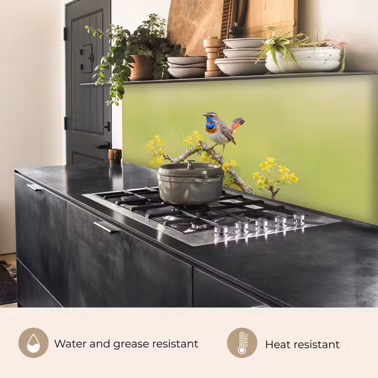 Kitchen splashback - Bird - Branch - Nature - Colorful — 5