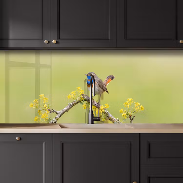 Kitchen splashback - Bird - Branch - Nature - Colorful — 6