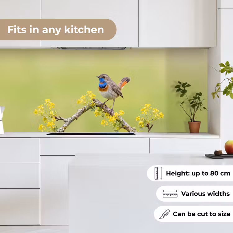 Kitchen splashback - Bird - Branch - Nature - Colorful — 7