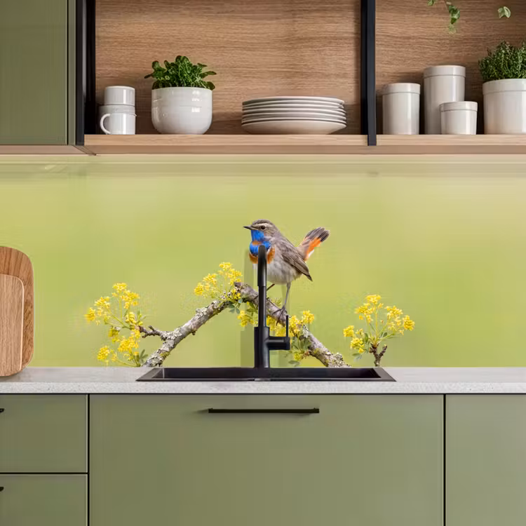 Kitchen splashback - Bird - Branch - Nature - Colorful — 8