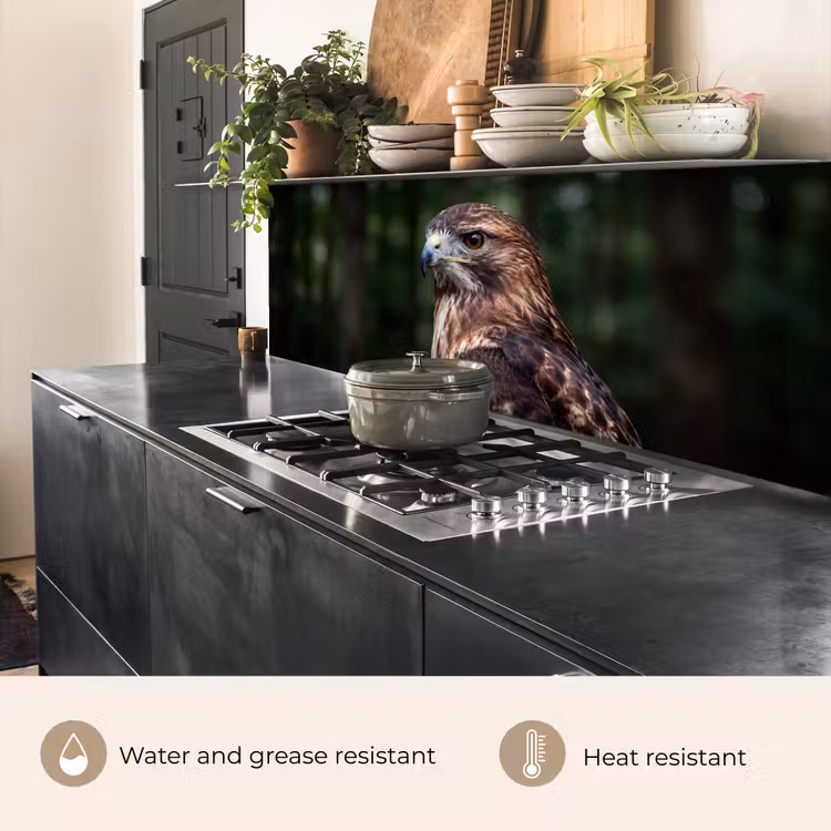 Kitchen splashback - Buzzard - Bird of Prey - Nature - Brown — 5