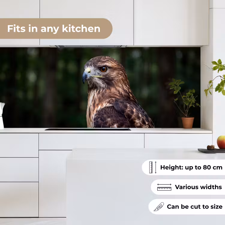 Kitchen splashback - Buzzard - Bird of Prey - Nature - Brown — 7