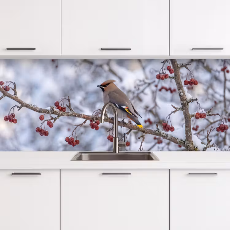 Kitchen splashback - Dormouse - Berries - Winter - Nature — 4