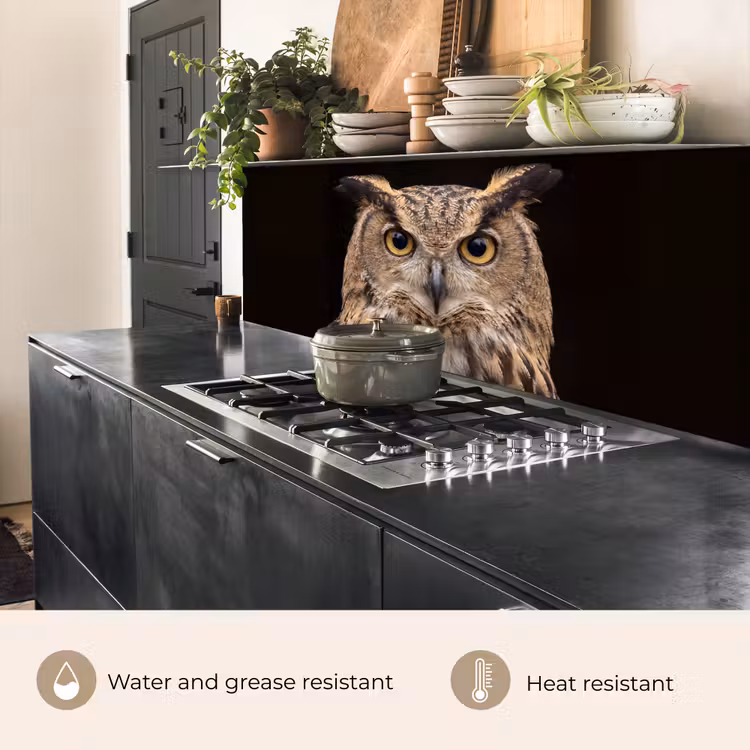 Kitchen splashback - Eagle Owl - Portrait - Brown — 5