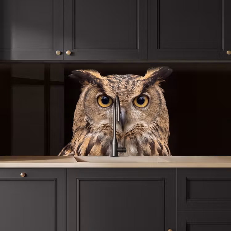 Kitchen splashback - Eagle Owl - Portrait - Brown — 6