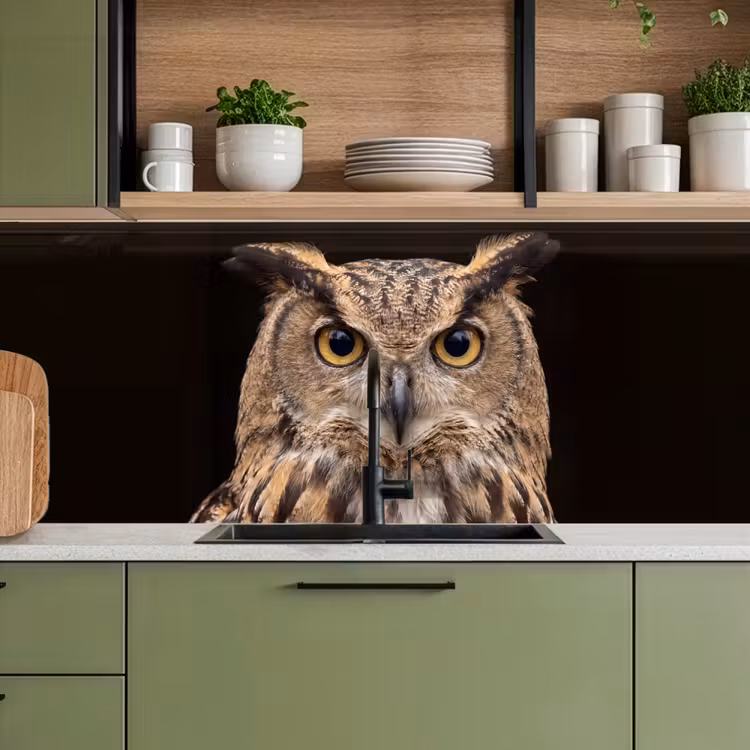 Kitchen splashback - Eagle Owl - Portrait - Brown — 8
