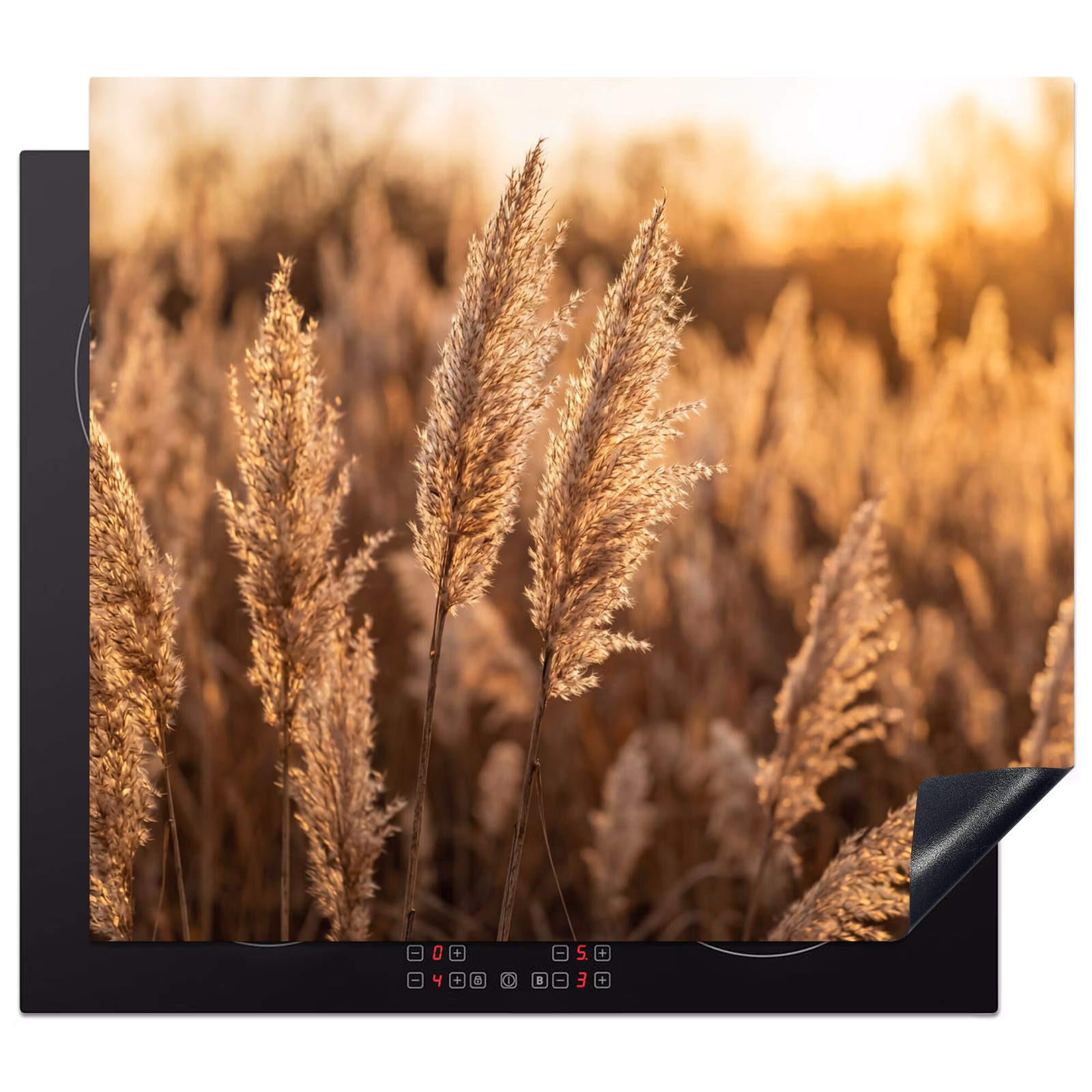 Induction hob cover - Reed plumes - Grass - Sunset - Gold - Serene — 1