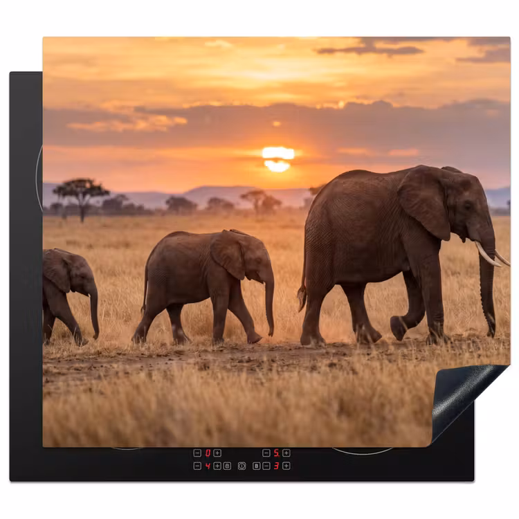 Induction hob cover - Elephants - Savannah - Sunset - Africa - Warm — 1