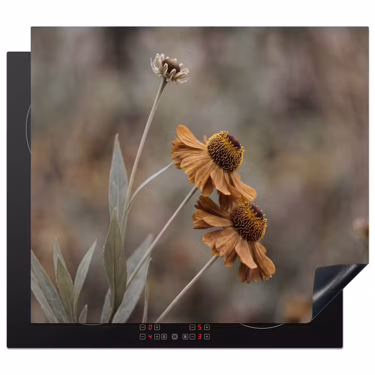 Induction hob cover - Sun hat - Dry flowers - Yellow - Warm — 1
