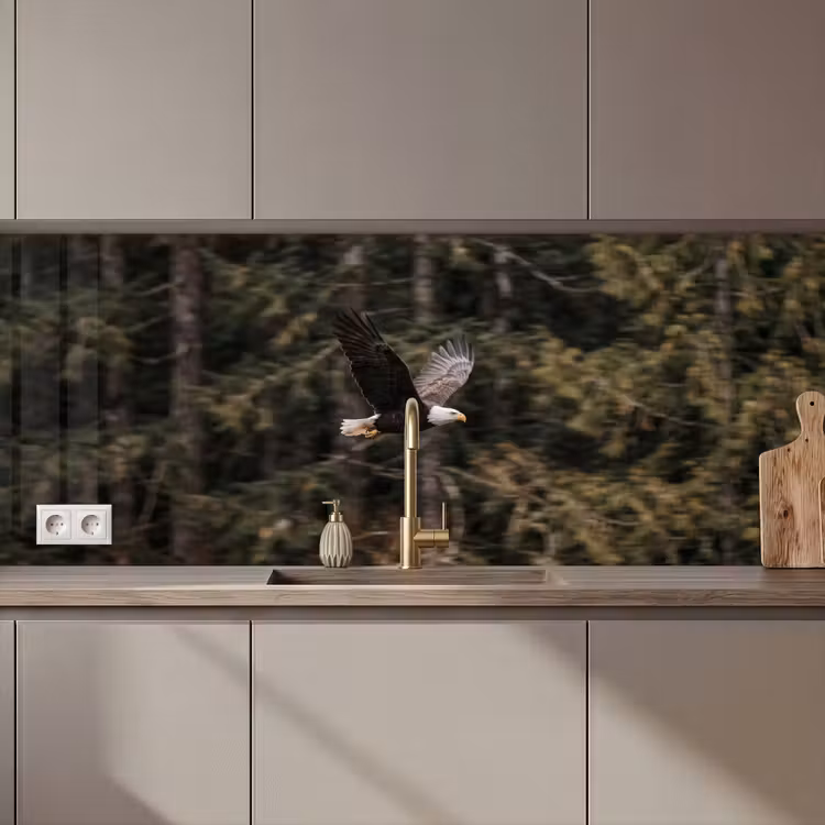 Kitchen splashback - Bald eagle - Flying - Forest - Nature — 1