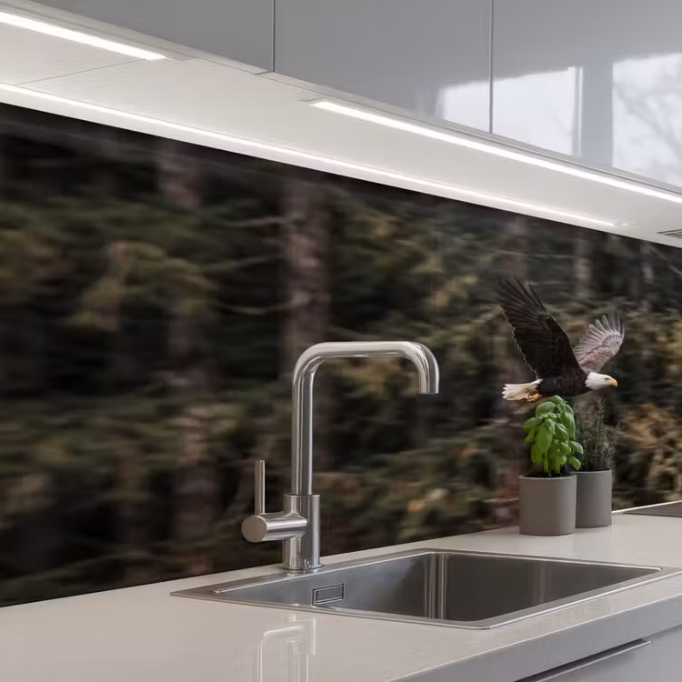 Kitchen splashback - Bald eagle - Flying - Forest - Nature — 2