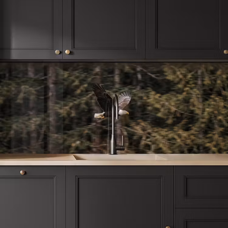 Kitchen splashback - Bald eagle - Flying - Forest - Nature — 6