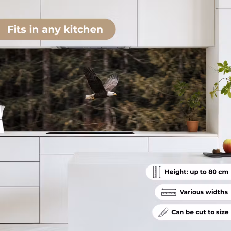 Kitchen splashback - Bald eagle - Flying - Forest - Nature — 7