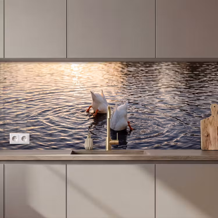 Kitchen splashback - Ducks - Water - Nature — 1