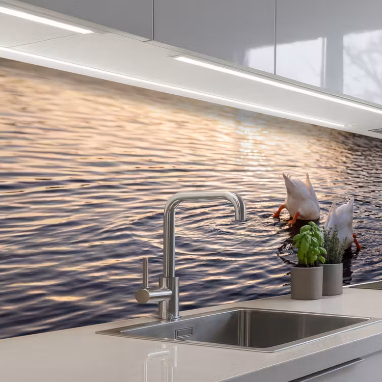 Kitchen splashback - Ducks - Water - Nature — 2