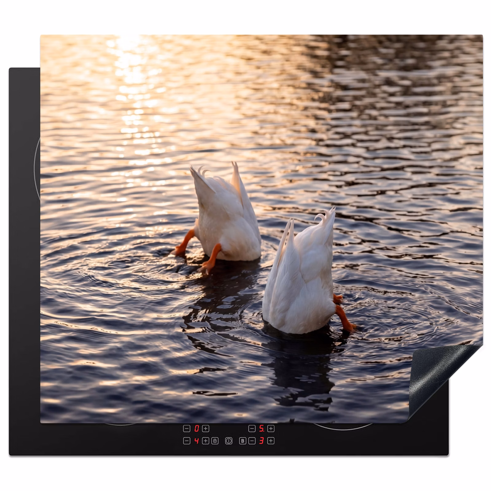Induction hob cover - Ducks - Water - Nature — 1