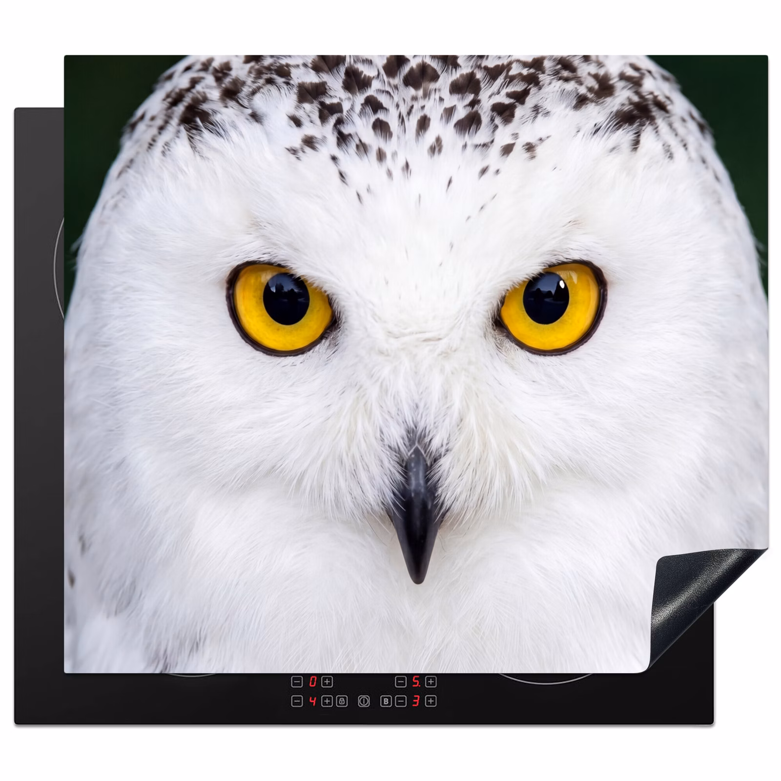 Induction hob cover - Snowy owl - Portrait - Yellow — 1