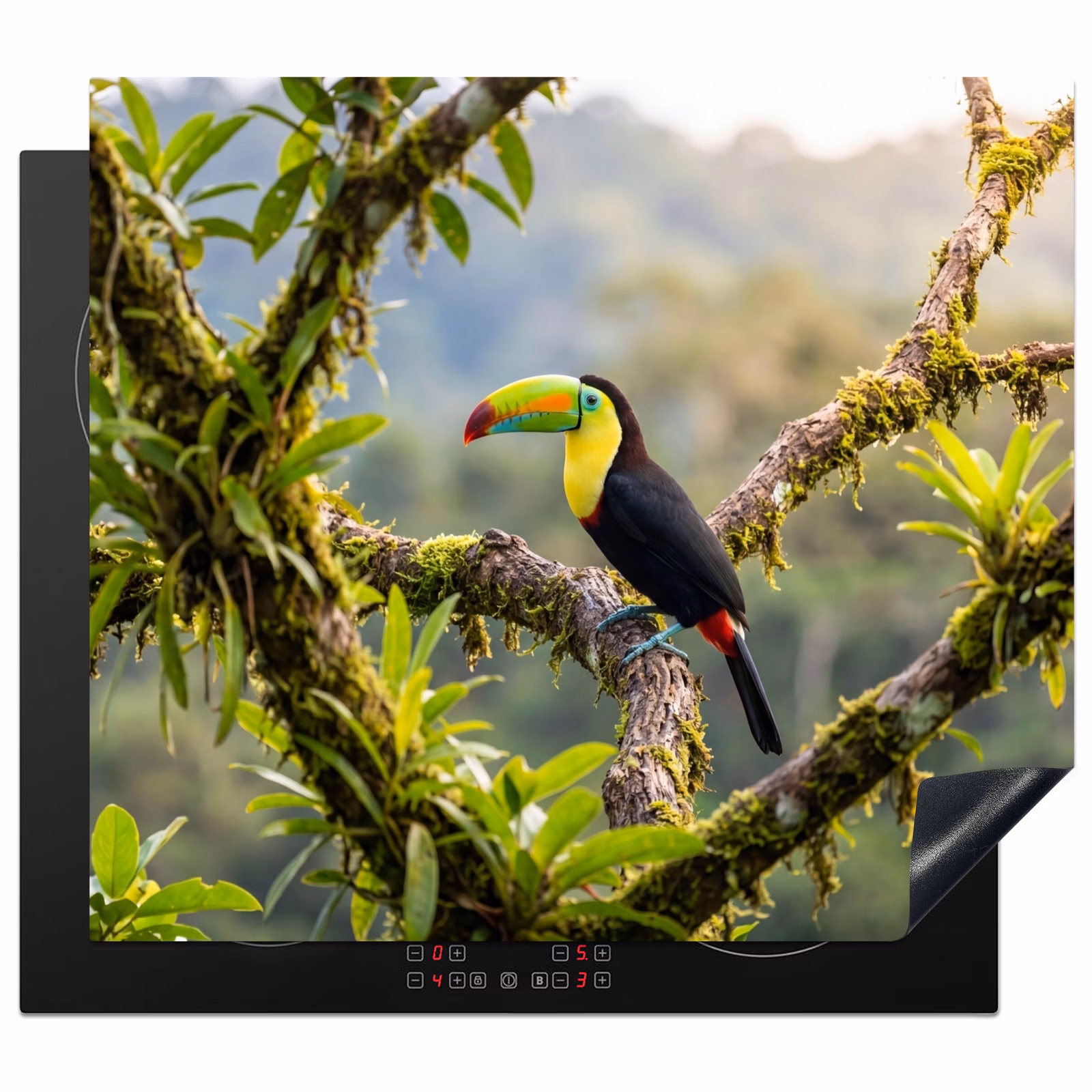 Induction hob cover - Toucan - Jungle - Nature - Colorful — 1