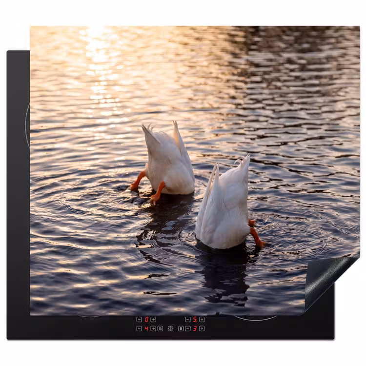 Induction hob cover - Ducks - Water - Nature — 1