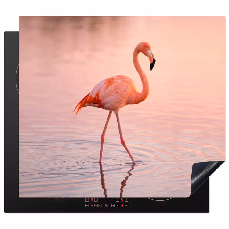 Induction hob cover - Flamingo - Water - Pink — 1