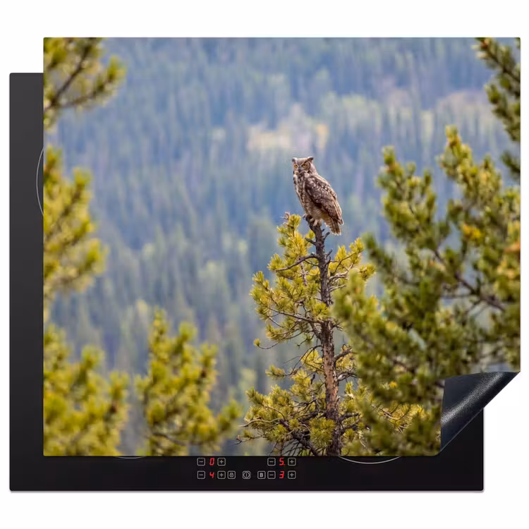 Induction hob cover - Owl - Owl - Trees - Nature — 1
