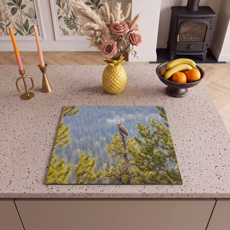 Induction hob cover - Owl - Owl - Trees - Nature — 3