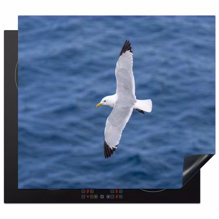 Induction hob cover - Seagull - Ocean - Blue — 1
