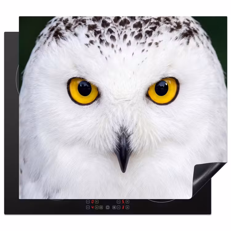 Induction hob cover - Snowy owl - Portrait - Yellow — 1