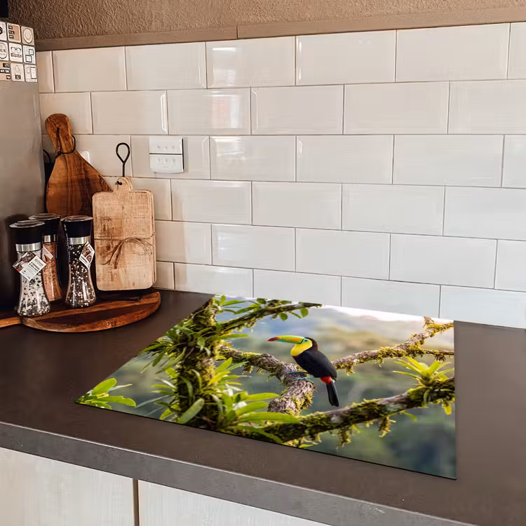 Induction hob cover - Toucan - Jungle - Nature - Colorful — 3
