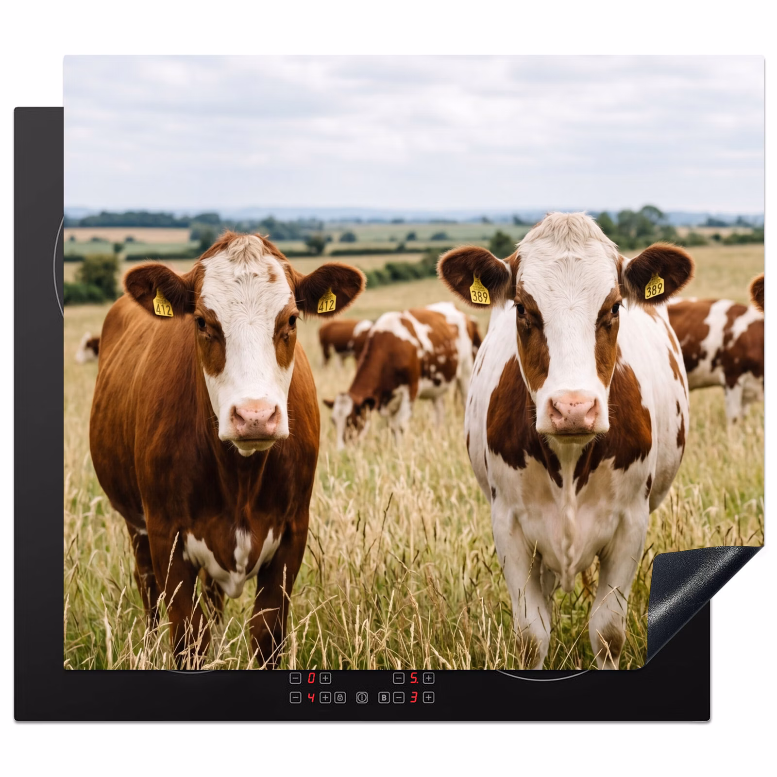 Induction hob cover - Cows - Portrait - Meadow - Farm - Curious — 1