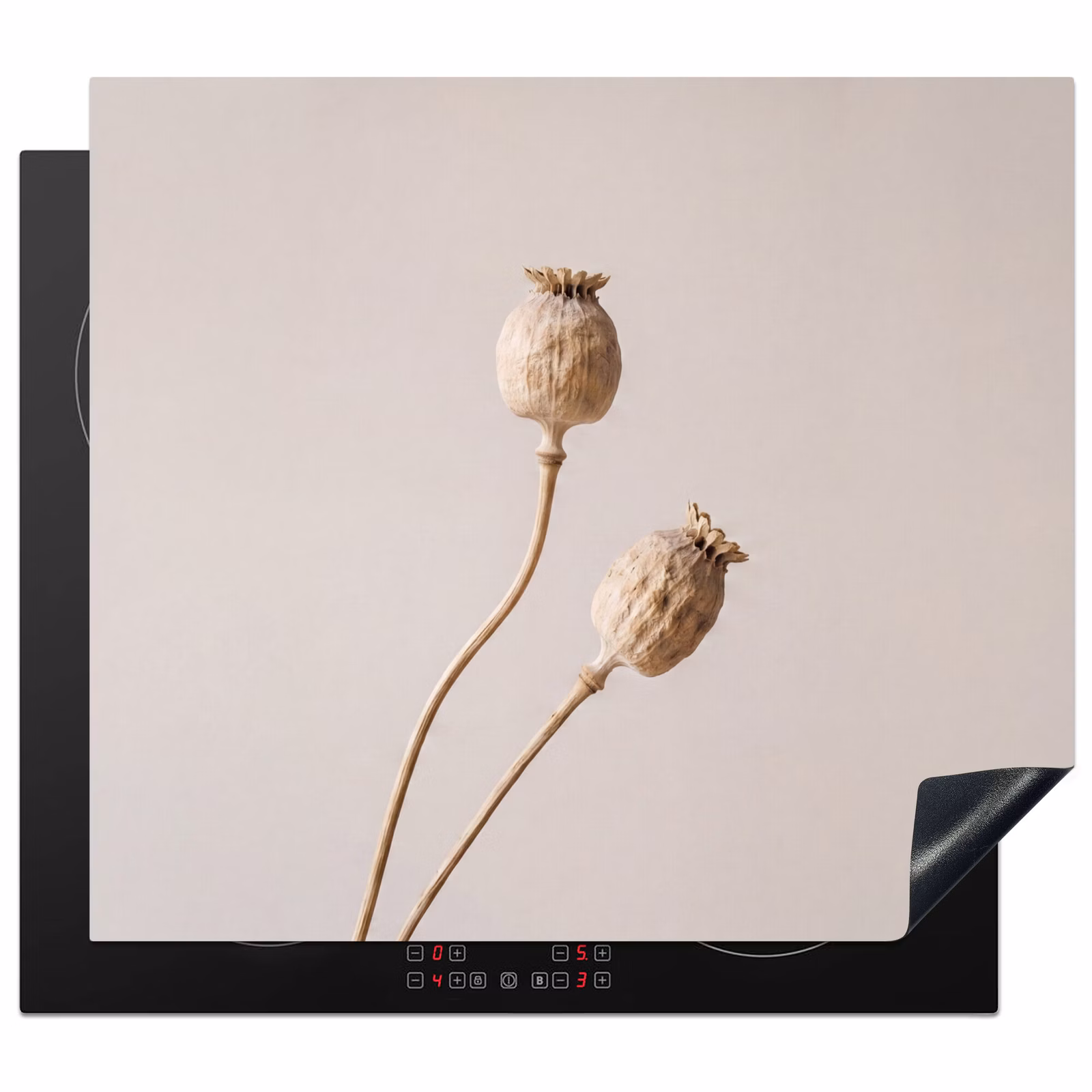 Induction hob cover - Poppy bulbs - Dry flowers - Minimalist - Beige - Quiet — 1