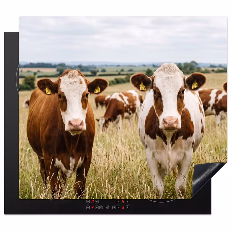 Induction hob cover - Cows - Portrait - Meadow - Farm - Curious — 1