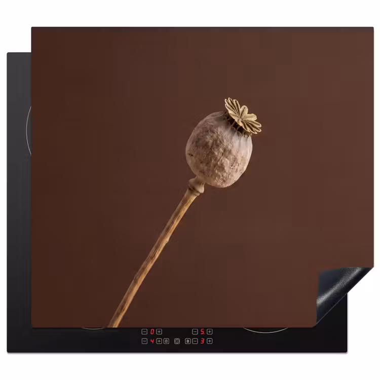 Induction hob cover - Poppy bulb - Dry flower - Brown - Minimalist — 1