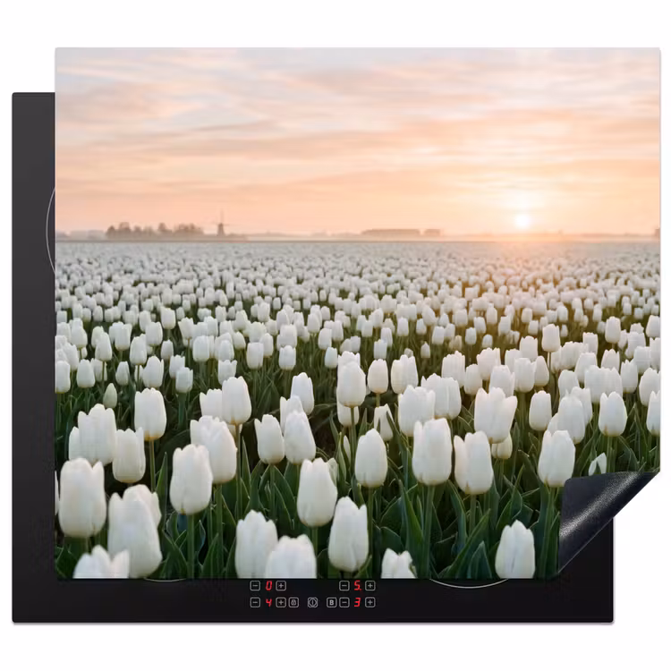 Induction hob cover - Tulips - Landscape - White — 1