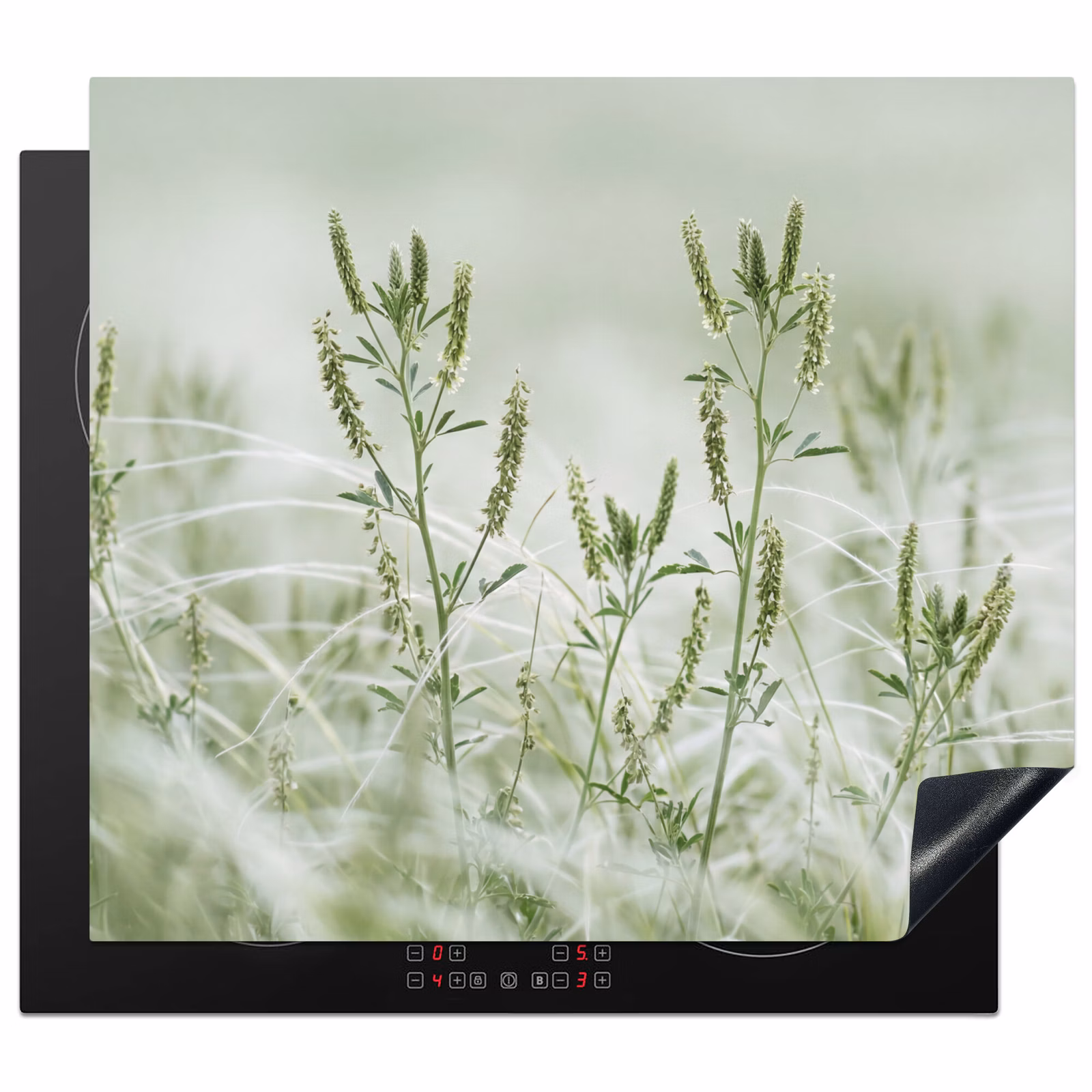 Induction hob cover - Grasses - Minimalist - Green — 1