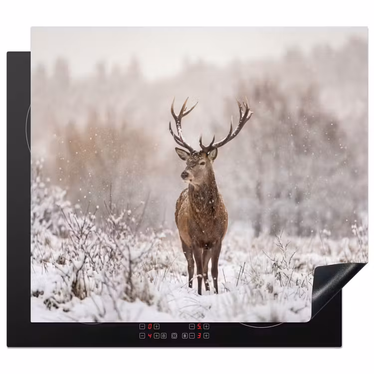 Induction hob cover - Red deer - Forest - Snow - Winter - Majestic — 1