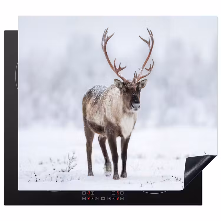 Induction hob cover - Reindeer - Antlers - Tundra - Snow - Wild — 1