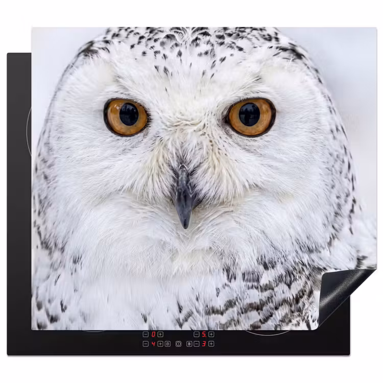Induction hob cover - Snowy owl - Eye - Wildlife - White — 1