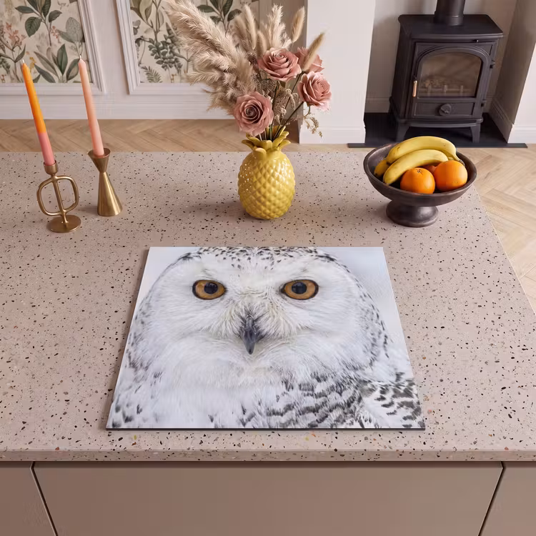 Induction hob cover - Snowy owl - Eye - Wildlife - White — 3