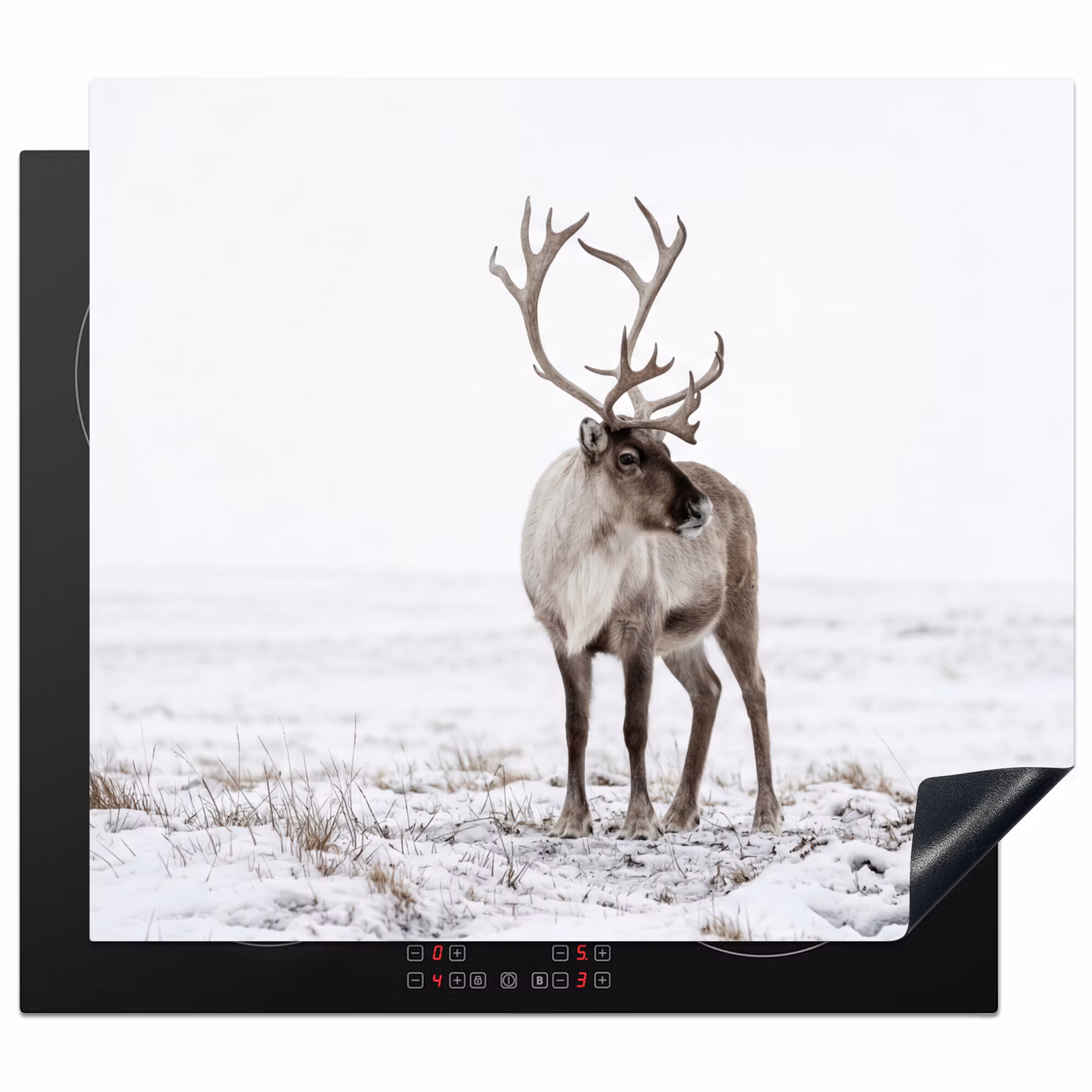 Induction hob cover - Reindeer - Antlers - Snow - Winter — 1